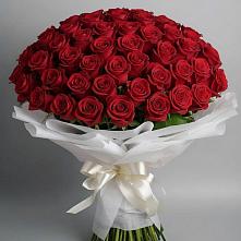 101 Красная роза Блэк Мэджик в Суворовское Крым Букет 101 Красная роза Блэк Мэджик в Суворовское Крым