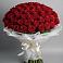 101 Красная роза Блэк Мэджик в Суворовское Крым Букет 101 Красная роза Блэк Мэджик в Суворовское Крым