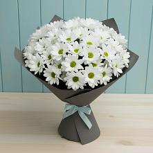 Букет белые хризантемы #REPLACE_PRED# Суворовское Крым Букет цветов из:  Хризантемы #REPLACE_PRED# Суворовское Крым