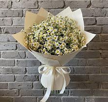 Букет Кустики радости #REPLACE_PRED# Суворовское Крым Букет цветов из:  Ромашки #REPLACE_PRED# Суворовское Крым