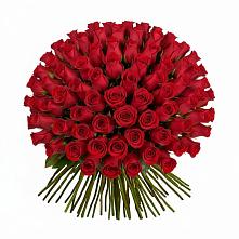 Красные розы Чери Лав в Суворовское Крым Букет Красные розы Чери Лав в Суворовское Крым
