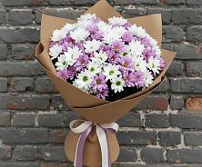 Букет грани совершенства в Суворовское Крым Букет цветов из:  Хризантемы в Суворовское Крым