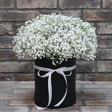 Композиция коробка гипсофил в Суворовское Крым Цветочная композиция из Гипсофила в шляпной коробке в Суворовское Крым