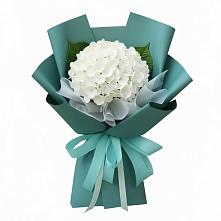 Букет Лёгкое облако в Суворовское Крым Букет цветов из:  Гортензия в Суворовское Крым